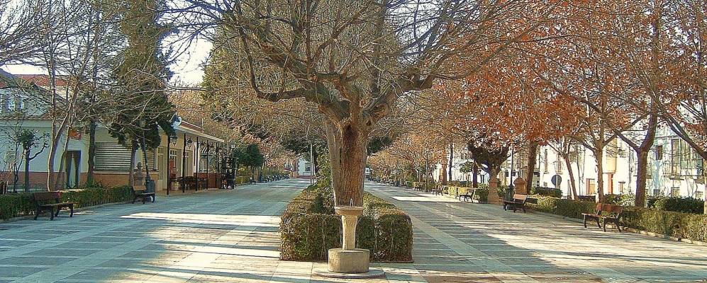 
            Фотография Канилеса