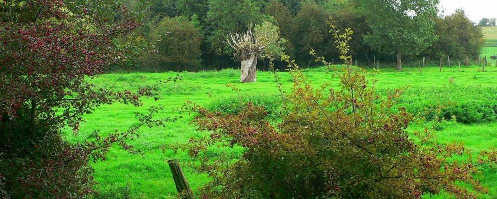 
            Фотография Анстэна