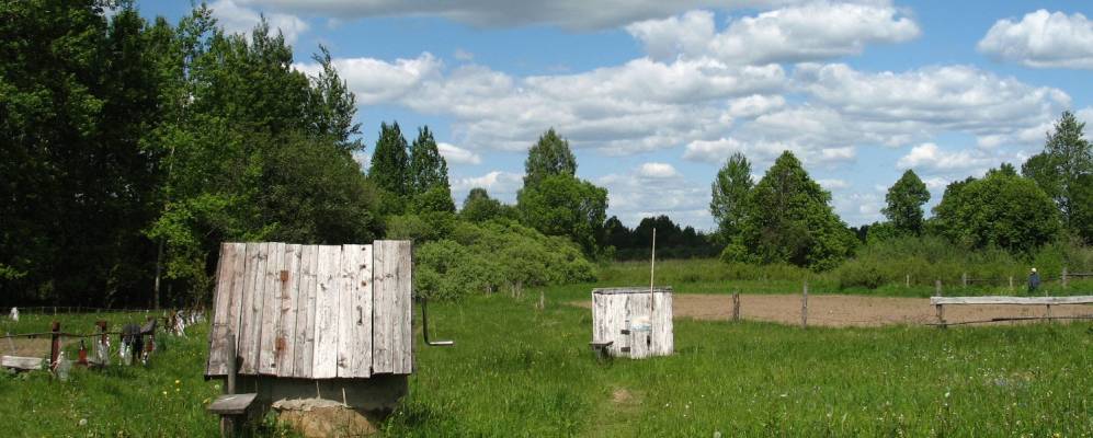 
            Фотография Тофели