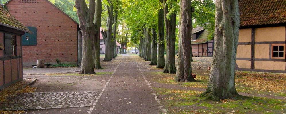 
            Фотография Эсторф