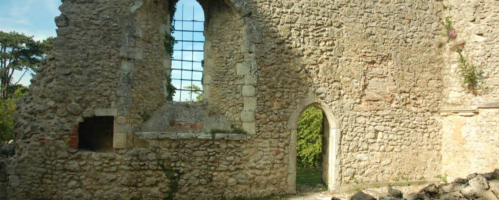 Фотография Плакли