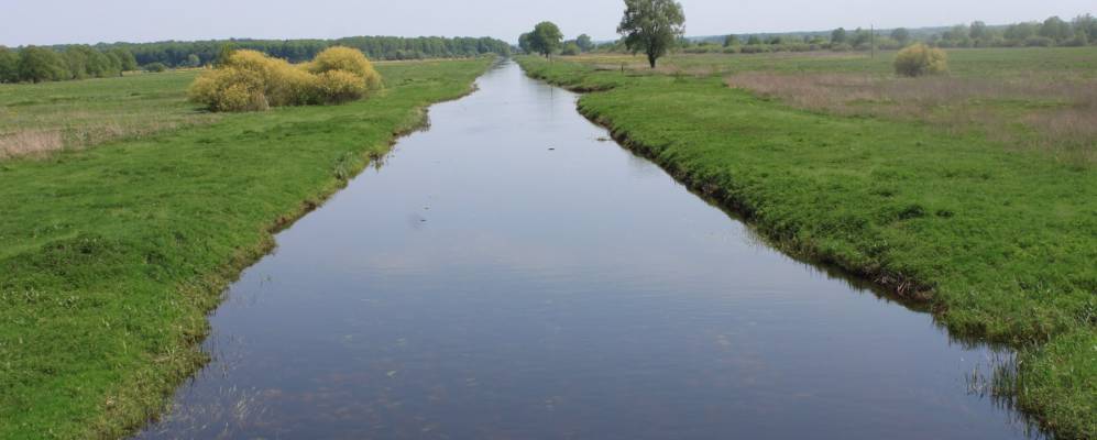 
            Фотография Грицовки