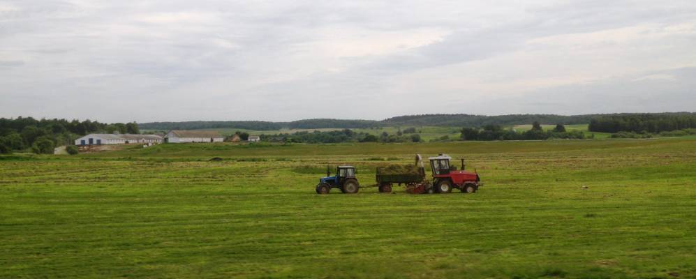 
            Фотография Попок