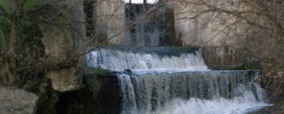 Фотография Березовки