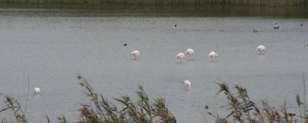 
            Фотография Карроцьере