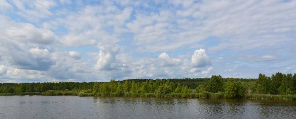 
            Фотография Ленино