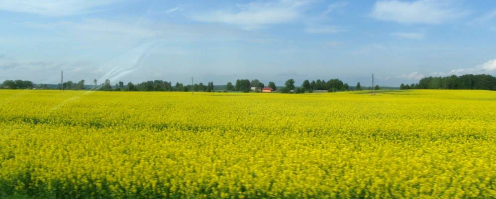 Фотография Гренцтале