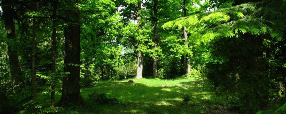 
            Фотография Мыслова