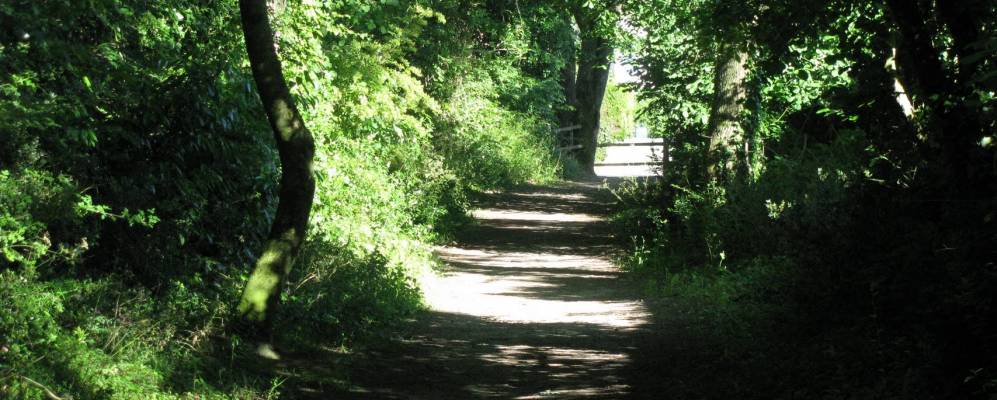 
            Фотография Лез-Эсара