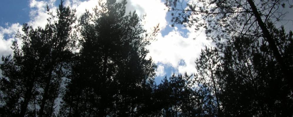 
            Фотография Гниловца