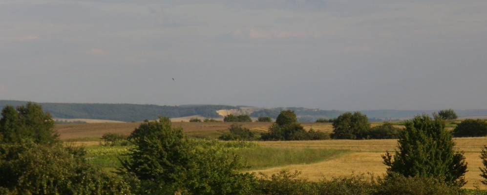 
            Фотография Зарецка