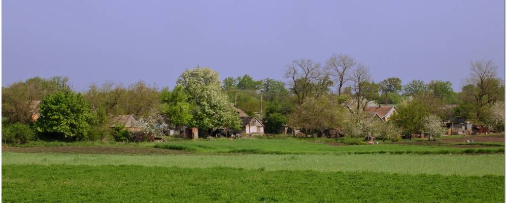 
            Фотография Терноватки
