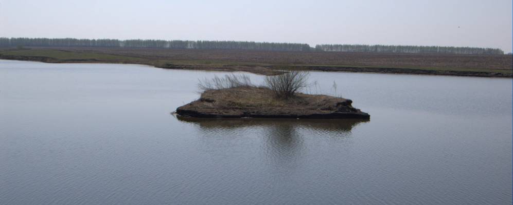 Фотография Родников