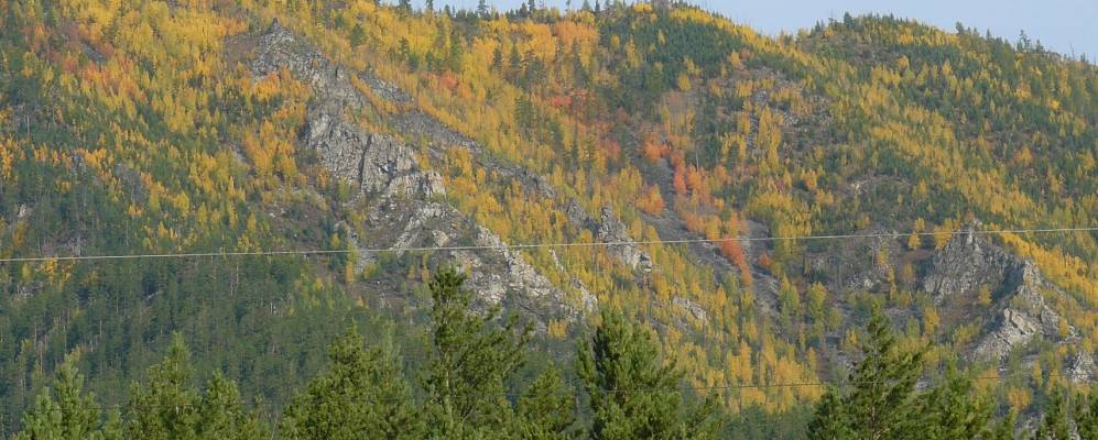 
            Фотография Сухой