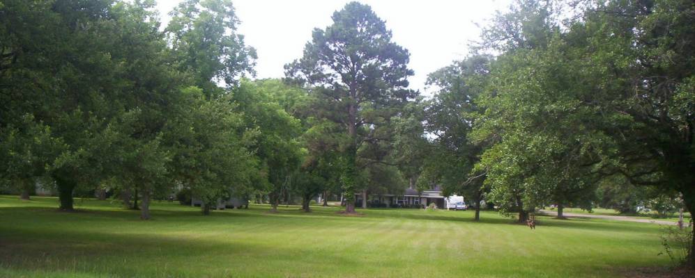 
            Фотография Виннсборо