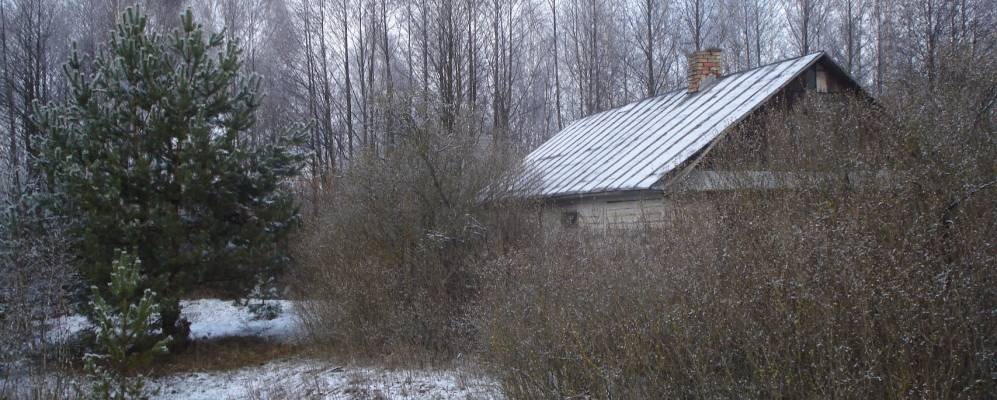 
            Фотография Дубища