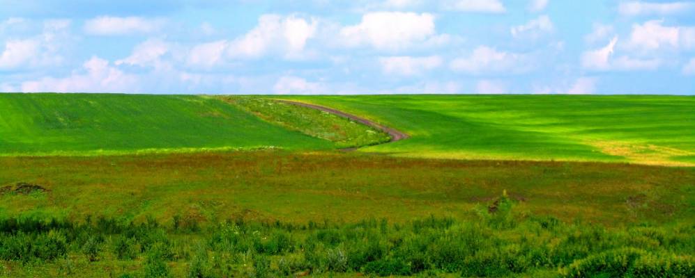 
            Фотография Калинино