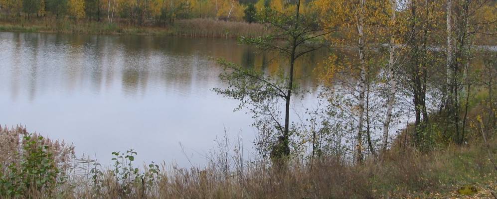 
            Фотография Петровы Гуты