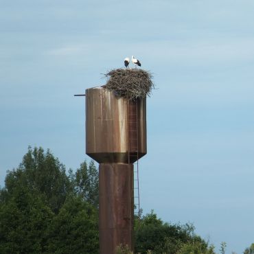 Новгородово