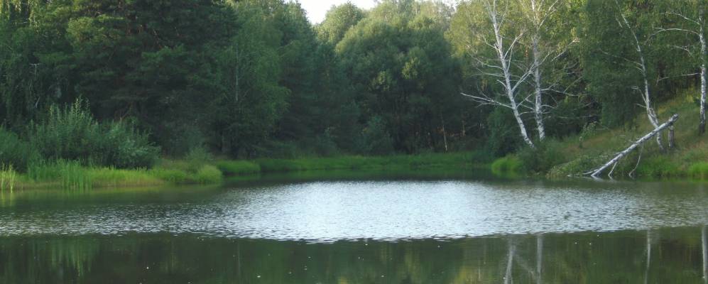 
            Фотография Чибирлея