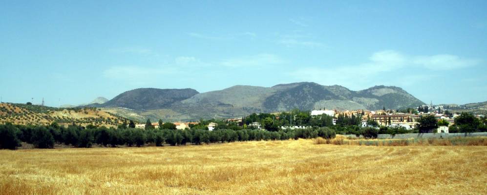 
            Фотография Пулианаса