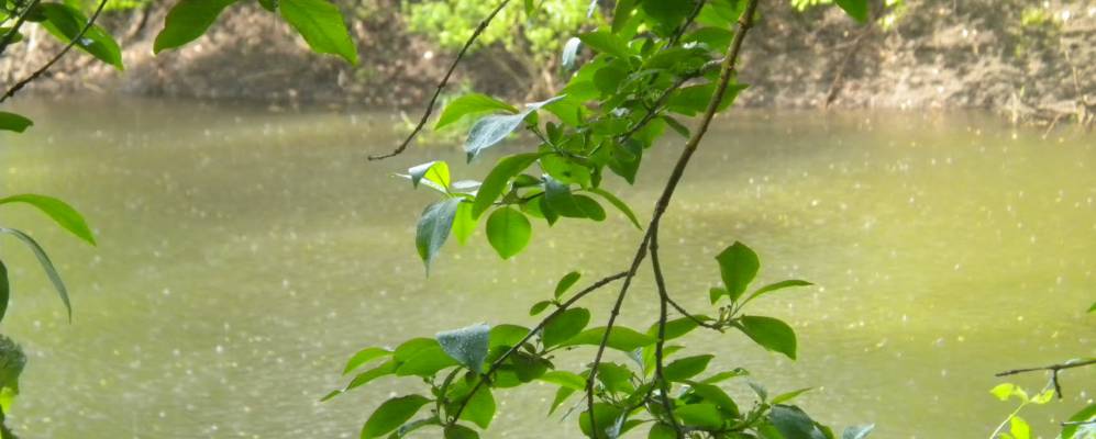 
            Фотография Мылинки