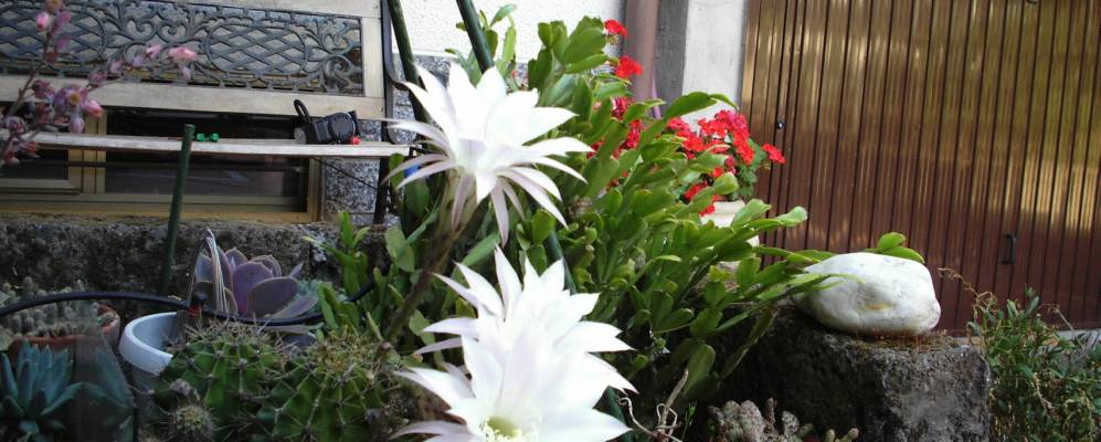 
            Фотография Кольтурано