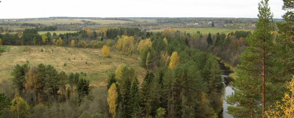 
            Фотография Слободы