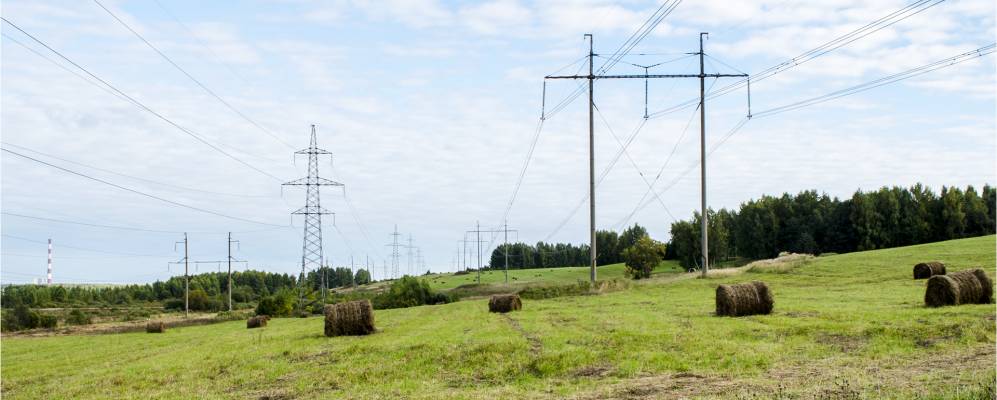 
            Фотография Пирогово