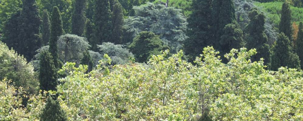 
            Фотография Монтейази