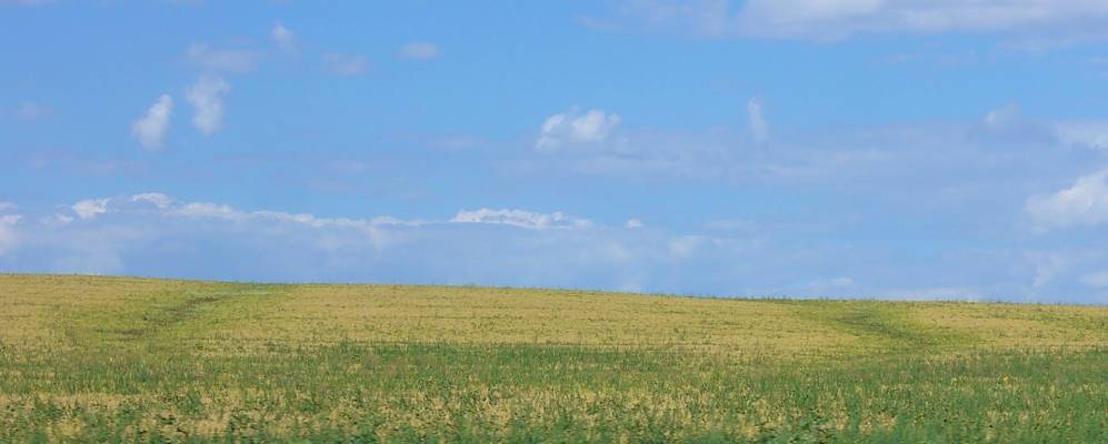 Фотография Песчаного