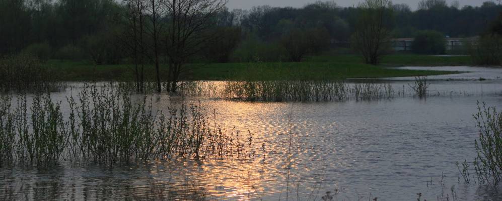 
            Фотография деревни Тюхиничи