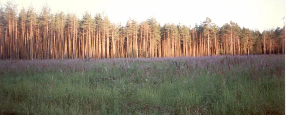 
            Фотография Каменово