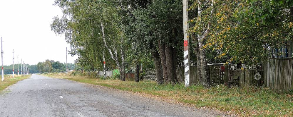 Фотография Ястребки