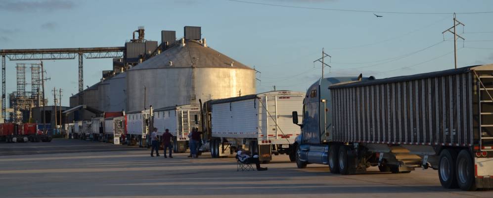 
            Фотография Галена Парка