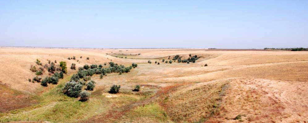 
            Фотография Ленинского