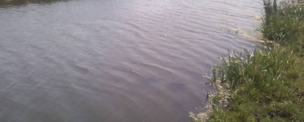 
            Фотография Красного