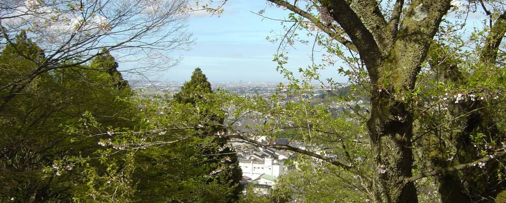 
            Фотография Уодзо