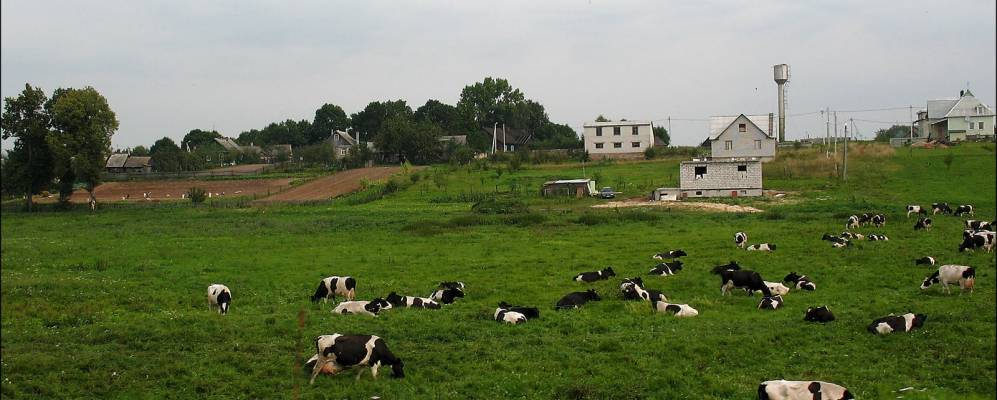 Фотография Мощеного