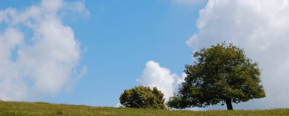 
            Фотография Ванда