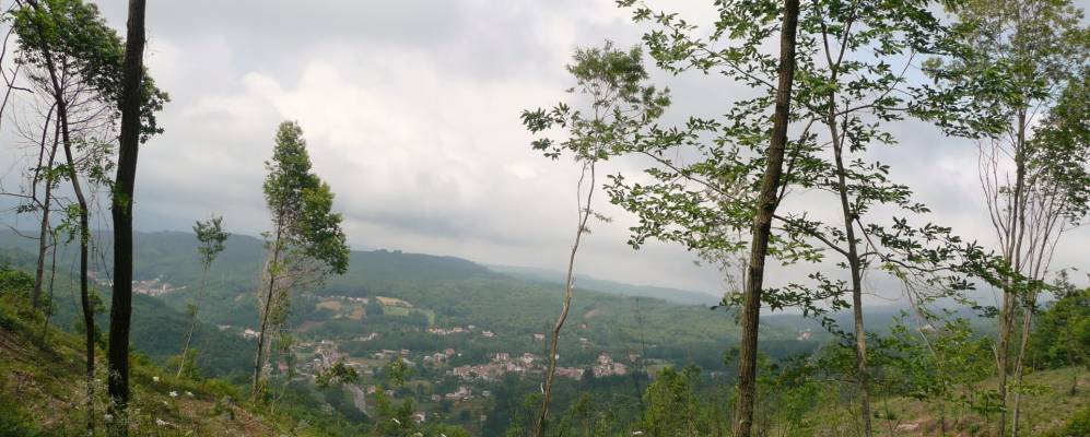 
            Фотография Паренти