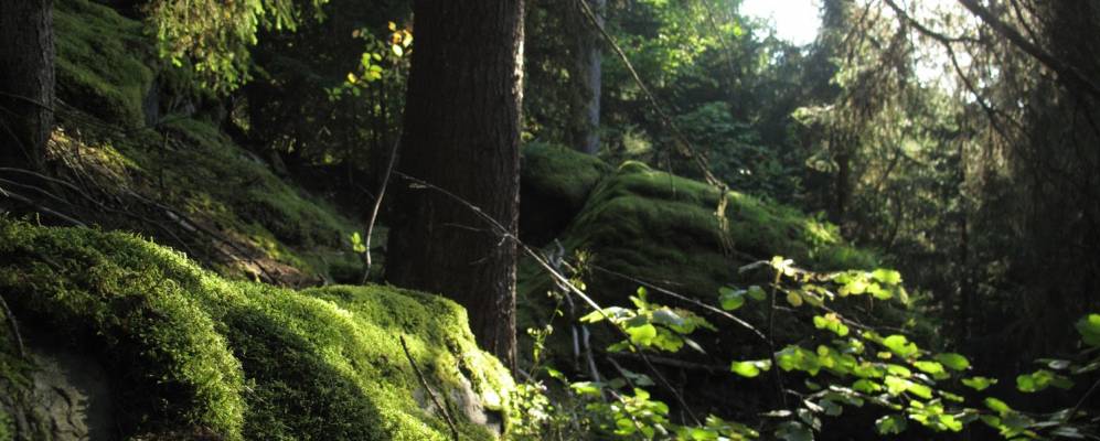 
            Фотография Мако-ла-Плань