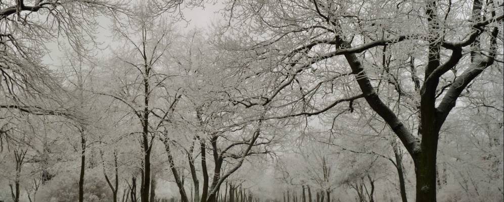 
            Фотография Биттерфельда