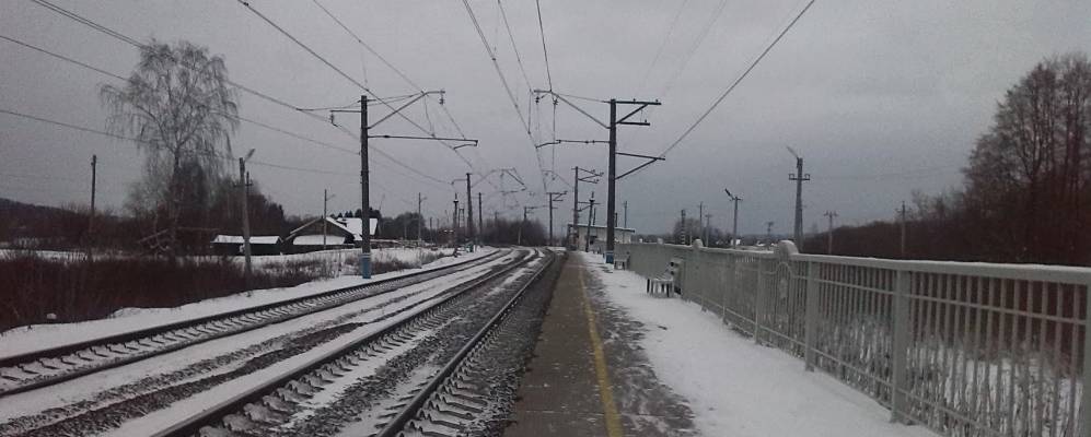 Фотография Черепах