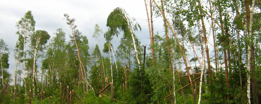 Фотография деревни Михеехичи