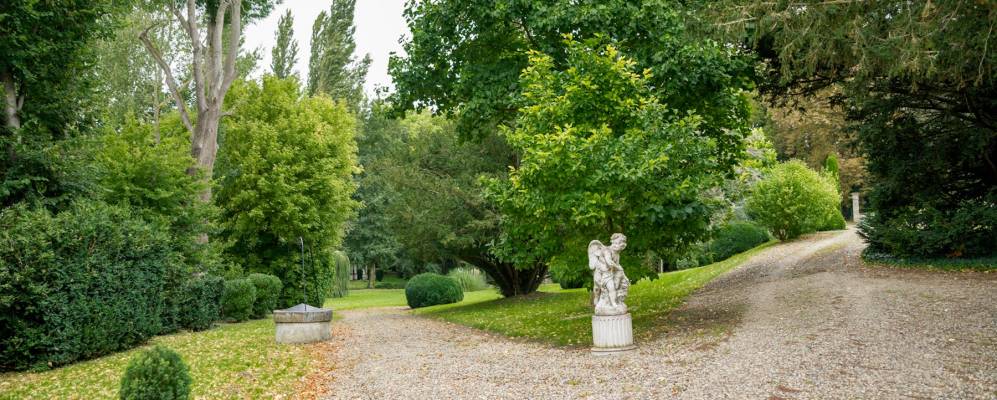 
            Фотография Рьё