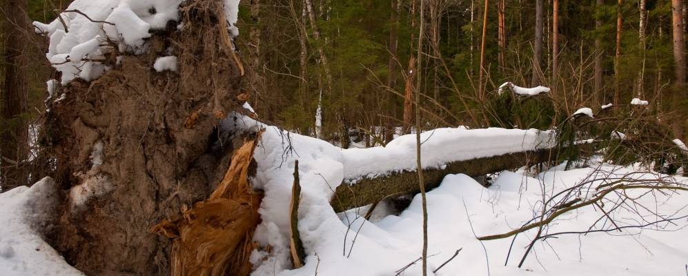 
            Фотография Митькино