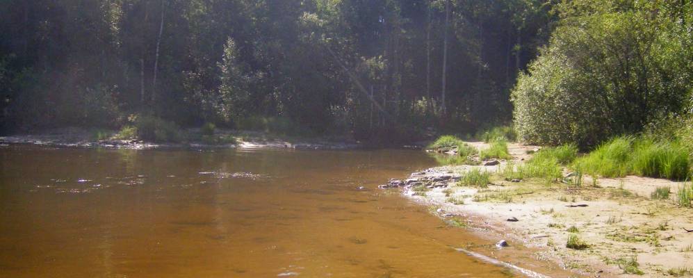 
            Фотография Доронино