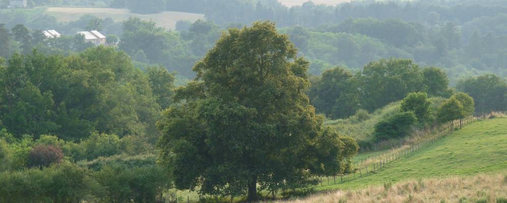 
            Фотография Конака