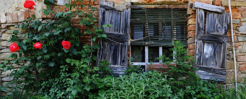 
            Фотография Монтевеккьи